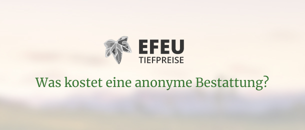 Preisbeispiele - Bestattungen EFEU GmbH - Tiefpreise
